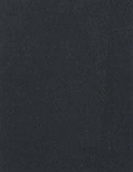 Lastolite Black Vinyl Background